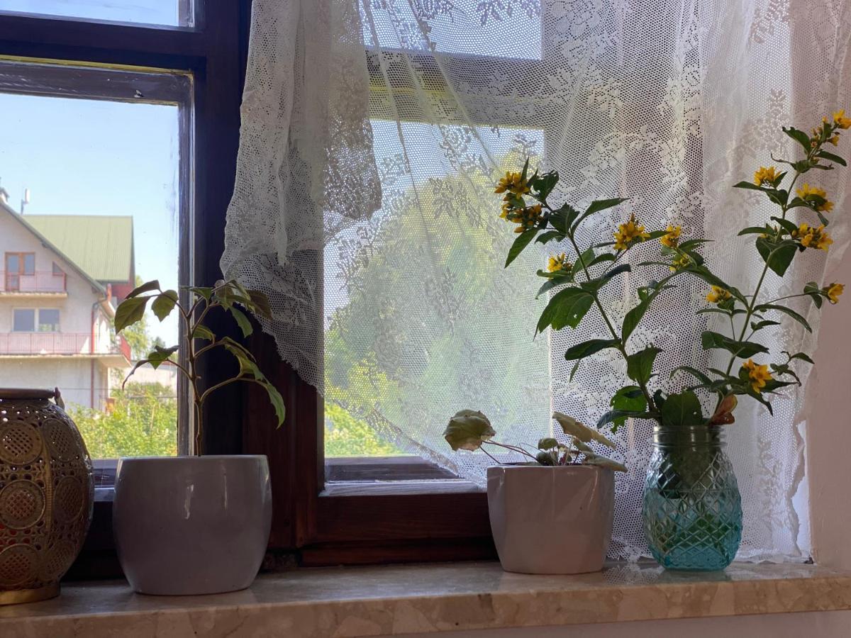 Zielone Zarabie Residence Myślenice Exteriér fotografie
