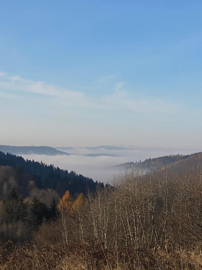 Zielone Zarabie Residence Myślenice Exteriér fotografie